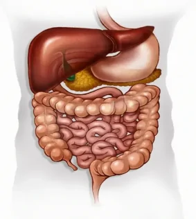 Gastroenteroloji